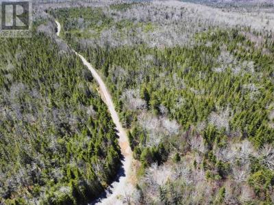 GRANT 16738 MOSER RIVER NORTH ROAD, Moser River, Nova Scotia B0J 2K0, Canada