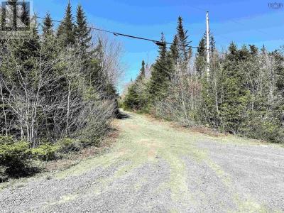 GRANT 16738 MOSER RIVER NORTH ROAD, Moser River, Nova Scotia B0J 2K0, Canada