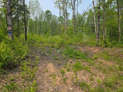 172 POPLARVALE ROAD, Chisholm, Ontario P0H 1Z0, Kanada