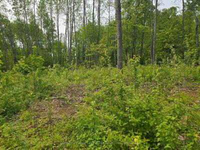 172 POPLARVALE ROAD, Chisholm, Ontario P0H 1Z0, Kanada