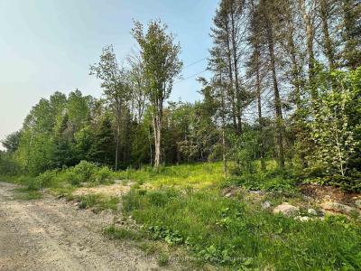 316 GRAVELLE ROAD, Mattawa, Ontario P0H 1V0, Canada