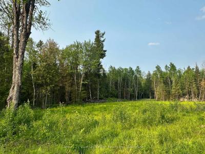 316 GRAVELLE ROAD, Mattawa, Ontario P0H 1V0, Canada