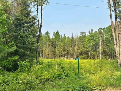 316 GRAVELLE ROAD, Mattawa, Ontario P0H 1V0, Canada