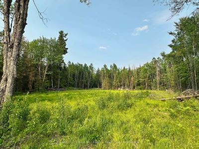 316 GRAVELLE ROAD, Mattawa, Ontario P0H 1V0, Canada