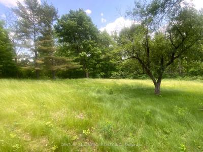 22819 7 HIGHWAY, Tay Valley, Ontario K0H 2P0, Canada