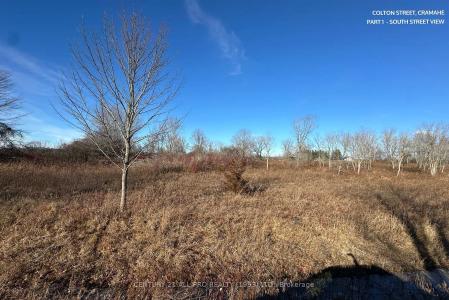 LOT 1 COLTON STREET, Cramahe, Ontario K0K 1S0, Canada