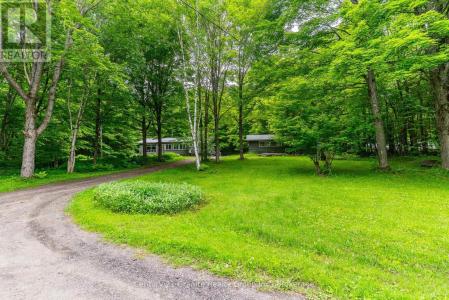 1553 KUSHOG LAKE ROAD, Algonquin Highlands (stanhope), オンタリオ K0M 1S0, カナダ