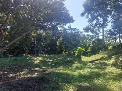 El Dos , Santa Teresita Turrialba, Cartago 00001, Costa Rica