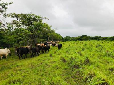 San Marcos, Carazo 0, Nicaragua