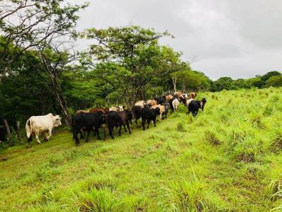 San Marcos, Carazo 0, Nicaragua