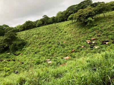San Marcos, Carazo 0, Nicaragua