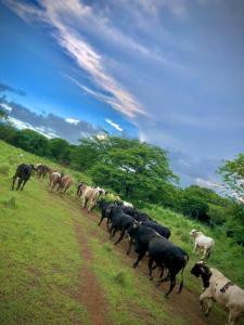 San Marcos, Carazo 0, Nicaragua