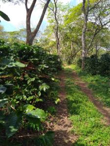 San Marcos, Carazo 00001, Nicaragua