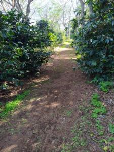 San Marcos, Carazo 00001, Nicaragua