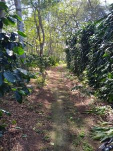 San Marcos, Carazo 00001, Nicaragua