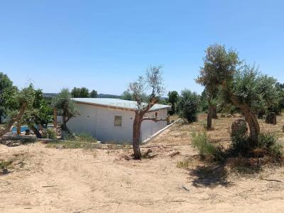 Castelo Branco, Castelo Branco 6000-630, Portekiz