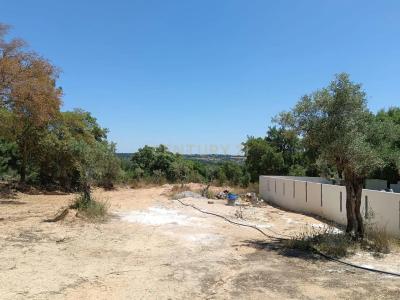 Castelo Branco, Castelo Branco 6000-630, Portekiz