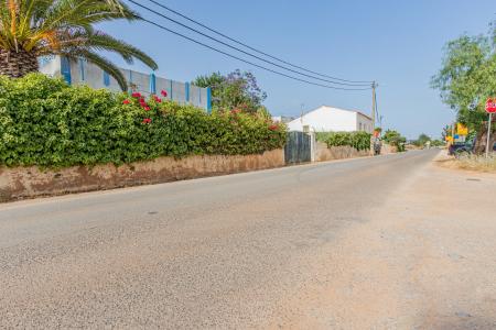 Silves, 法如 8300-042, 葡萄牙