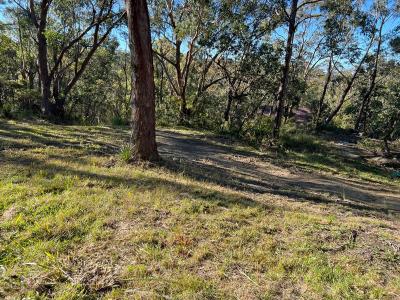 Woodford, NSW 2778, Australia