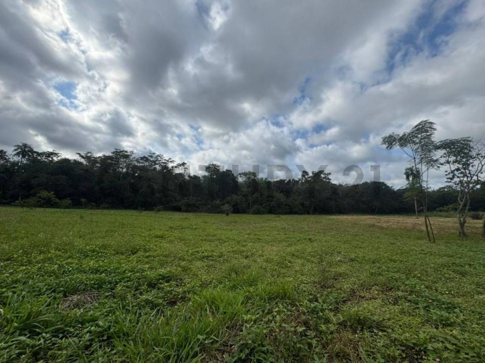 aguapety , Coronel Oviedo, Caaguazú 00001, Paraguay