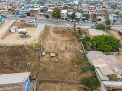 blvd geranios 760,, Ensenada, Baja California 22813, Mexico