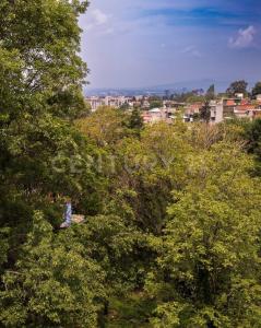Desierto de los Leones 5028,, Alvaro Obregón, Ciudad De México 01700, Mexico