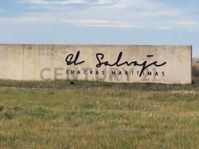 Lote 6 , Villa Gesell, Buenos Aires Costa Atlántica 7165, 阿根廷