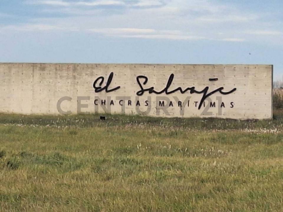 Lote 6 , Villa Gesell, Buenos Aires Costa Atlántica 7165, 阿根廷