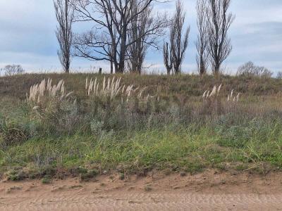 Lote 6 , Villa Gesell, Buenos Aires Costa Atlántica 7165, 阿根廷