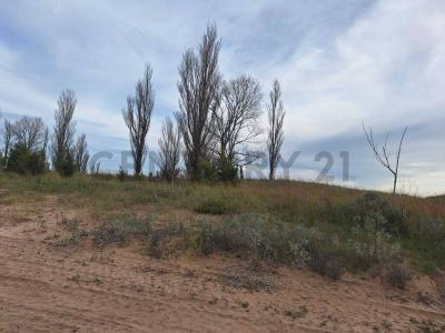 Lote 6 , Villa Gesell, Buenos Aires Costa Atlántica 7165, 阿根廷