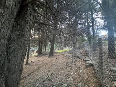 San Martín De Los Andes, Neuquén 8370, Argentina