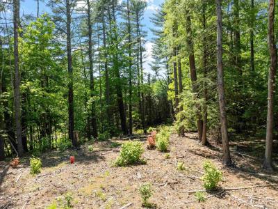 115 Adams Farm Road, Thornton, New Hampshire 03285, États-Unis