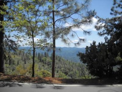 1202 Heather Drive, Murphys, California 95247, USA