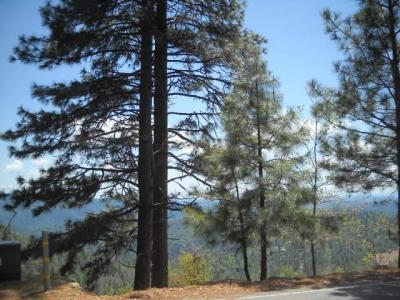 1202 Heather Drive, Murphys, カリフォルニア 95247, アメリカ合衆国
