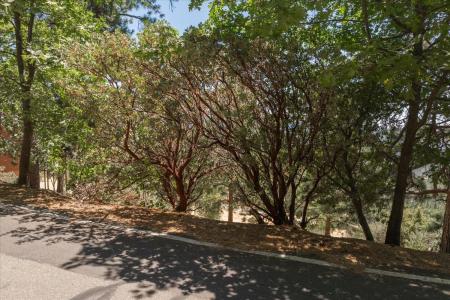 1202 Heather Drive, Murphys, カリフォルニア 95247, アメリカ合衆国