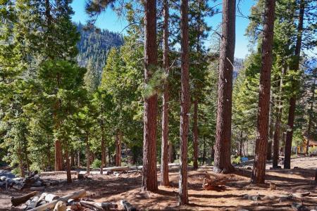 7349 Yosemite Park Way 7473, Yosemite West, קליפורניה 95389, ארצות הברית של אמריקה