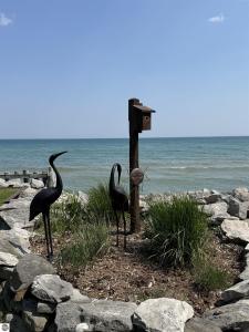 589 Pine Lane, East Tawas, ميشيغان 48730, الولايات المتحدة