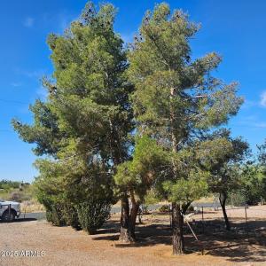 22770 W Mountain View Drive, Congress, Arizona 85332, Estados Unidos
