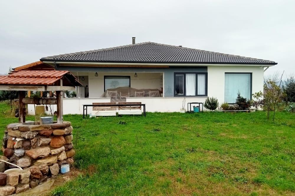 Düzce, 土耳其