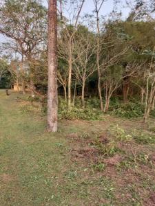 Altos, Cordillera 00001, Paraguay