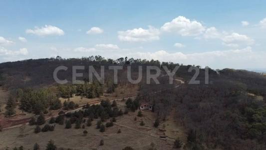 Loma Linda Rancho El Arroyo sn,, Amealco De Bonfil, Querétaro 76850, México