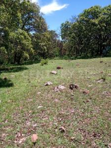 Loma Linda Rancho El Arroyo sn,, Amealco De Bonfil, Querétaro 76850, México