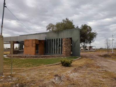 2 de mayo s/n s/n, Los Corralitos, Mendoza 5527, Argentina