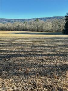 TBD Lot 1 Rocky Road, Hodgen, Oklahoma 74939, USA