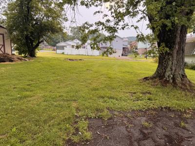 1096 Caroline Street, Nanty-Glo-, Pensilvania 15943, Estados Unidos