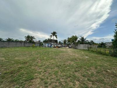 Tucacas, Falcón 2055, Venezuela