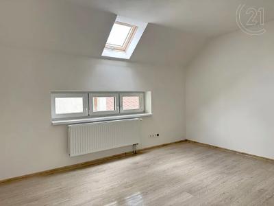 303, Jenišovice, Jablonec Nad Nisou 46833, צ'כיה