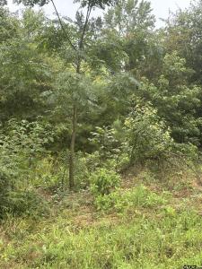 TBD Hwy 11, Pittsburg, Texas 75686, USA