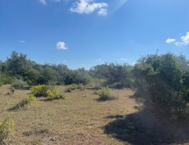 3626 Old Goliad Road, Goliad, Texas 77963, USA