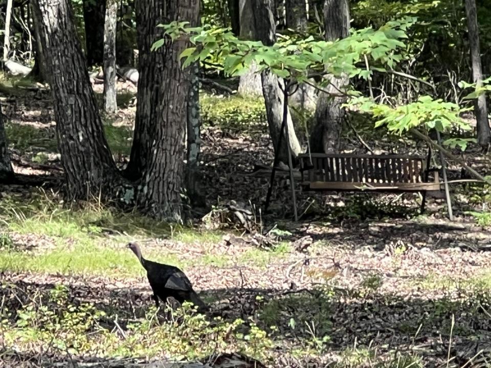 594 Lookout Crest Lane, Lookout Mountain, Georgia 30750, Amerika Birleşik Devletleri